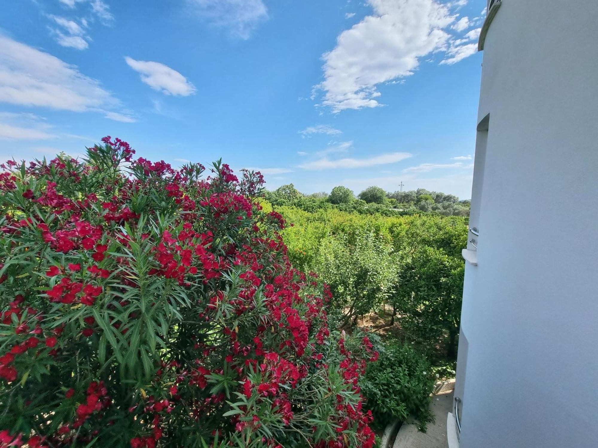 Le Domaine Green Paradise Ulcinj Kültér fotó